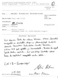 Cayo_Richterbericht_Wolnzach_03.09.2023